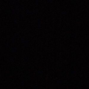 Meet your Posher, Sanjana